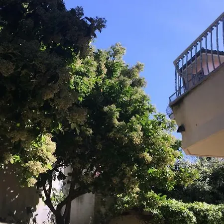 Splendido Con Giardino A Santa Teresa *