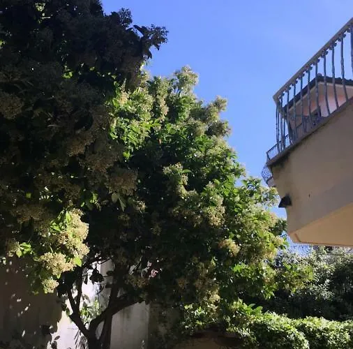 Splendido Con Giardino A Santa Teresa *
